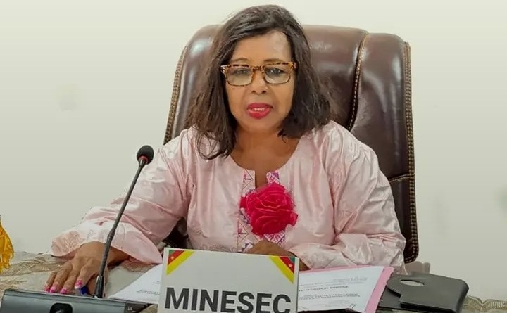 mutation digitale minesec nalova nyonga